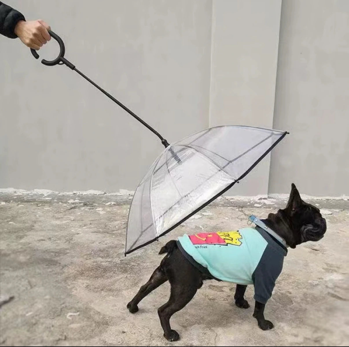 Pet RainShield™